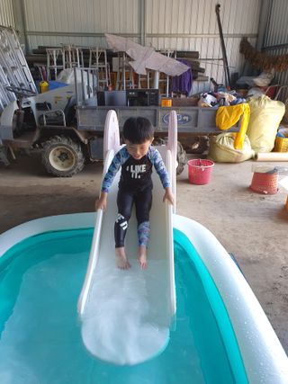 사과농사꾼님의 자유주제 · 자유게시판 작성글 사진