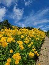 팜모닝 자유주제·자유게시판 게시글 이미지