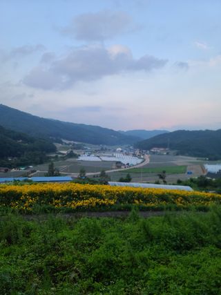 홍천산채농원 조원영님의 자유주제 · 자유게시판 작성글 사진