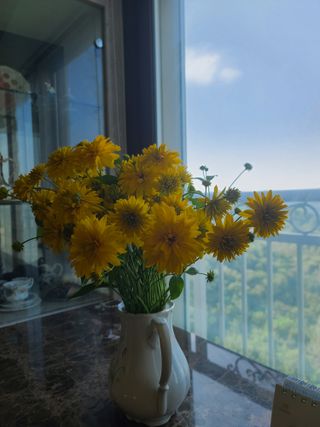 홍천산채농원 조원영님의 자유주제 · 자유게시판 작성글 사진