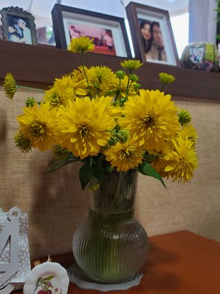 홍천산채농원 조원영님의 자유주제 · 자유게시판 작성글 사진