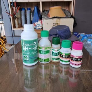 윤세열님의 병해충 박멸! 살충제 추천 · 참여글 작성글 사진