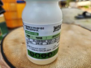 안계천님의 병해충 박멸! 살충제 추천 · 참여글 작성글 사진