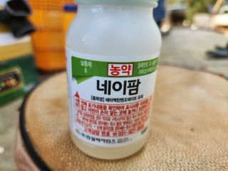 안계천님의 병해충 박멸! 살충제 추천 · 참여글 작성글 사진