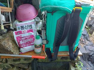 정규상님의 사과 · 일상 작성글 사진