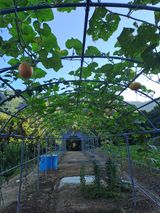 팜모닝 자유주제·자유게시판 게시글 이미지