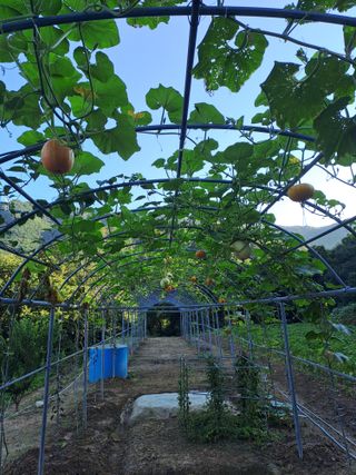 지리산자락님의 자유주제 · 자유게시판 작성글 사진