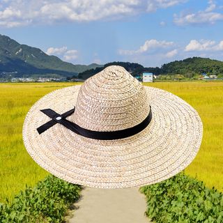 일꾼의탄생님의 작성글 사진