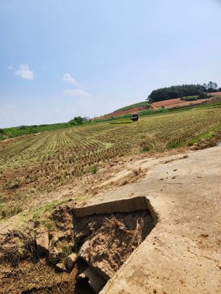 무안최향숙님의 벼 · 자유게시판 작성글 사진