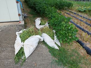 유병욱님의 자유주제 · 자유게시판 작성글 사진