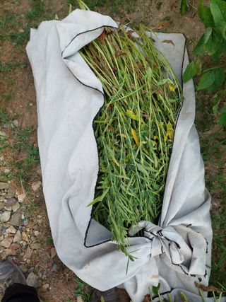 유병욱님의 자유주제 · 자유게시판 작성글 사진