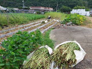 유병욱님의 자유주제 · 자유게시판 작성글 사진