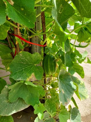 유병욱님의 자유주제 · 자유게시판 작성글 사진