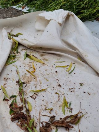 유병욱님의 자유주제 · 자유게시판 작성글 사진