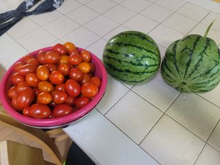 김성명님의 사과 · 영농일지 작성글 사진