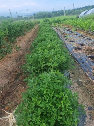 유명숙님의 자유주제 · 자유게시판 작성글 사진