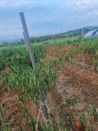 유명숙님의 자유주제 · 자유게시판 작성글 사진