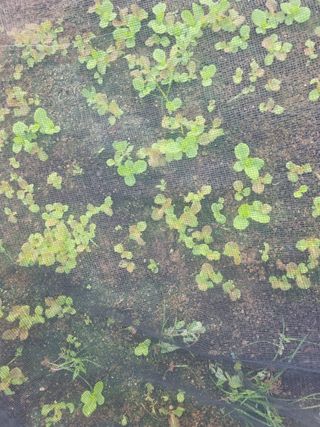 유명숙님의 자유주제 · 자유게시판 작성글 사진