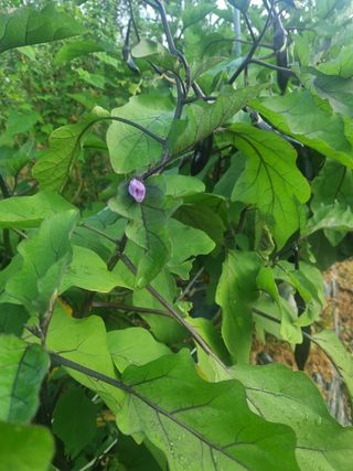 유명숙님의 자유주제 · 자유게시판 작성글 사진