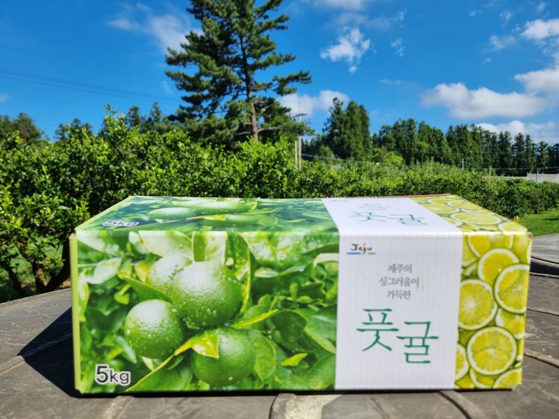 장터 상품 [친환경 무농약 풋귤 5kg] 썸네일