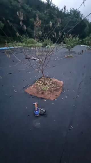 반도님의 기타작물 · 자유게시판 작성글 사진