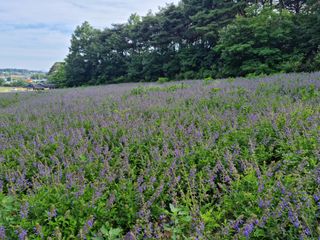 김방환님의 자유주제 · 사진전 작성글 사진