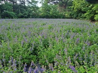 김방환님의 자유주제 · 사진전 작성글 사진