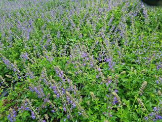 김방환님의 자유주제 · 사진전 작성글 사진