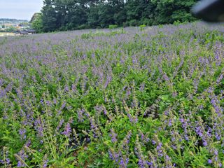 김방환님의 자유주제 · 사진전 작성글 사진