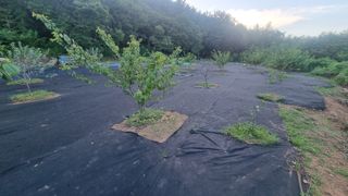 반도님의 매일매일 농사공부 · 자유게시판 작성글 사진