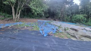 반도님의 매일매일 농사공부 · 자유게시판 작성글 사진