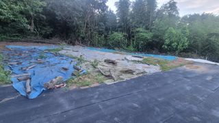 반도님의 매일매일 농사공부 · 자유게시판 작성글 사진