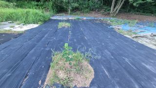 반도님의 매일매일 농사공부 · 자유게시판 작성글 사진