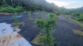 반도님의 매일매일 농사공부 · 자유게시판 작성글 사진