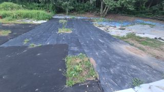 반도님의 매일매일 농사공부 · 자유게시판 작성글 사진