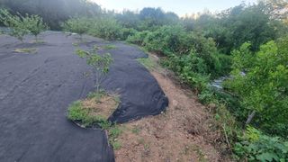 반도님의 매일매일 농사공부 · 자유게시판 작성글 사진