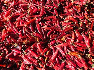 정용일님의 고추 · 저장•가공 작성글 사진