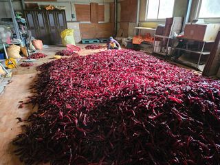 정용일님의 고추 · 저장•가공 작성글 사진