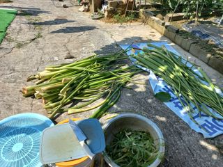 김년욱님의 자유주제 · 자유게시판 작성글 사진