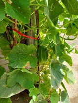 팜모닝 자유주제·자유게시판 게시글 이미지