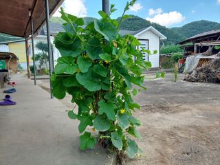 유병욱님의 자유주제 · 자유게시판 작성글 사진