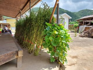 유병욱님의 자유주제 · 자유게시판 작성글 사진