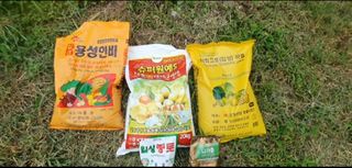 마중물0715님의 배추 · 토양준비 작성글 사진