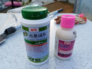 박영선님의 콩 · 영농일지 작성글 사진