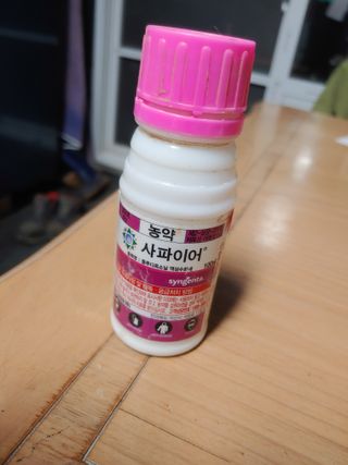 _고성농장님의 고추 · 수확 작성글 사진