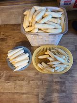 팜모닝 옥수수·자유게시판 게시글 이미지