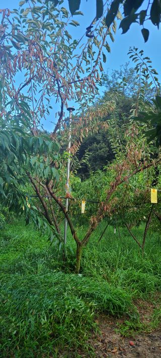 시연아빠님의 자유주제 · 자유게시판 작성글 사진