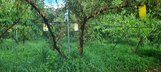 시연아빠님의 자유주제 · 자유게시판 작성글 사진