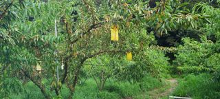 시연아빠님의 자유주제 · 자유게시판 작성글 사진