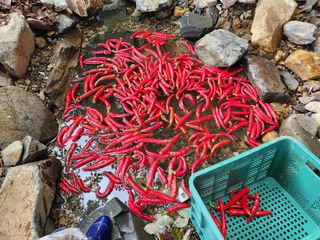 박영석님의 자유주제 · 자유게시판 작성글 사진